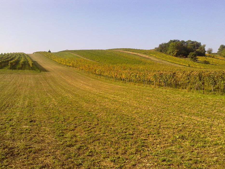 Pottendorf
