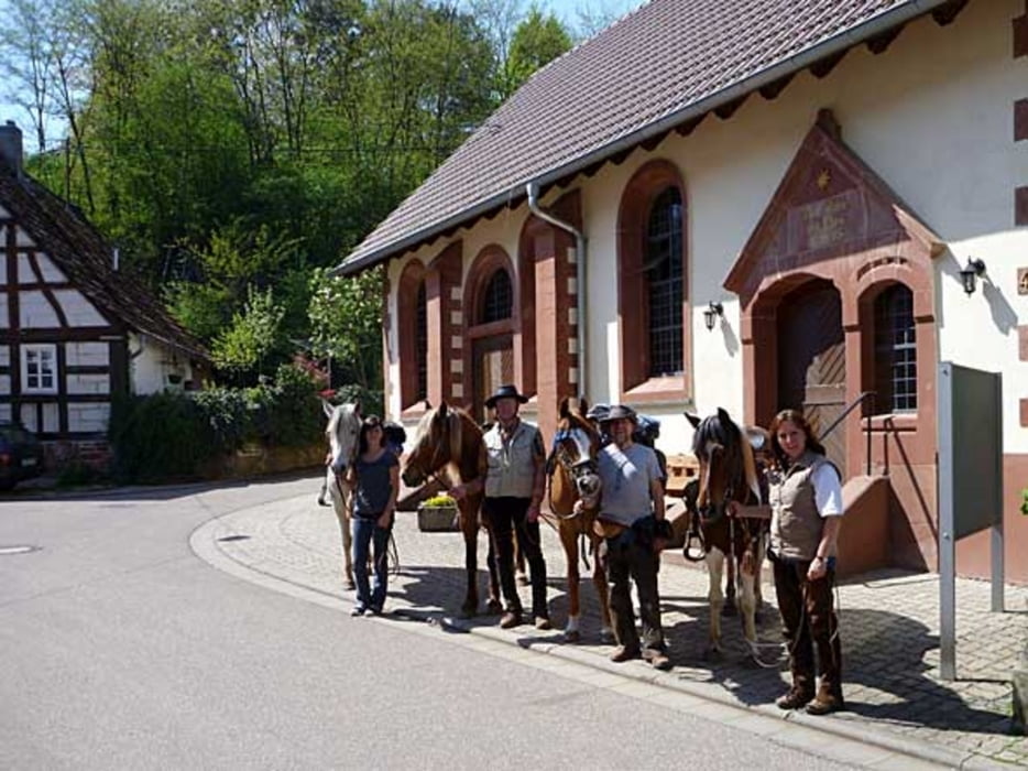 Pfälzerwald - Rundritt vom Schönbachhof in Silz zur Wasgauhütte