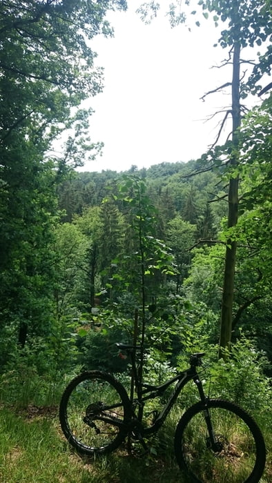 Radeberger Trailspaß Stadt-Land-Fluß