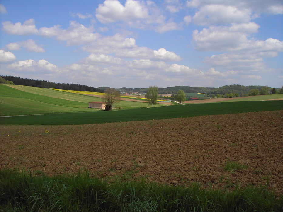 Über die Reischenau in die Stauden