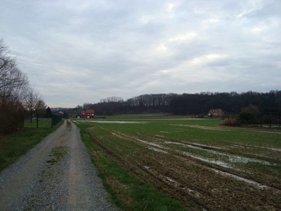 Rillaarse heuveltjes