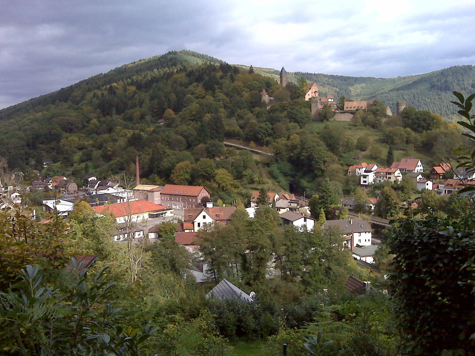 Heidelberg: Hirschhorn - Schönau - Weißer Stein - Schriesheim - HD auf Waldwegen