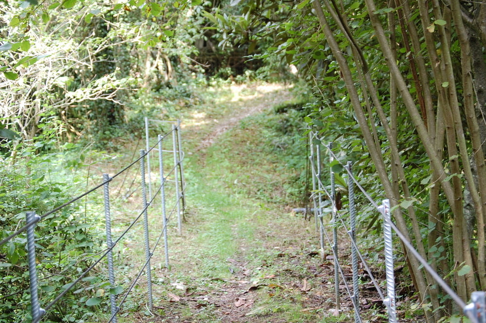 Monte Calina Trailtour