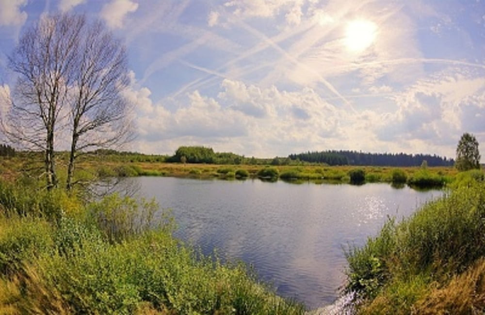 Mützenich und Brackvenn