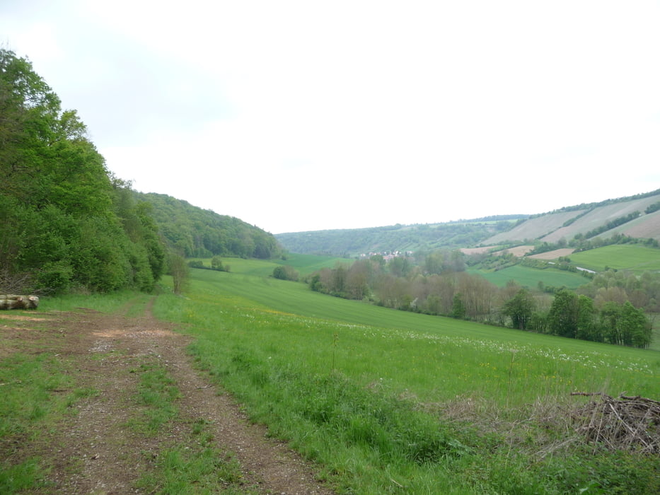 MTB Mittleres Taubertal Panoramatour