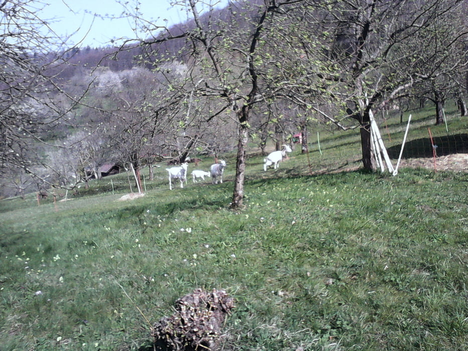 Über den Weinberg nach Grafenberg