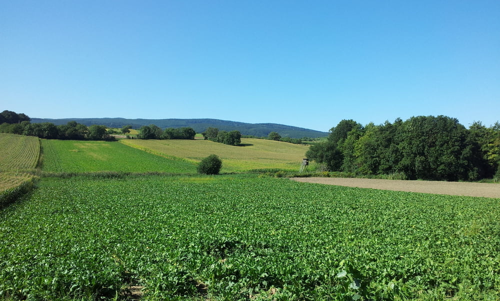 Rosalia-Radweg
