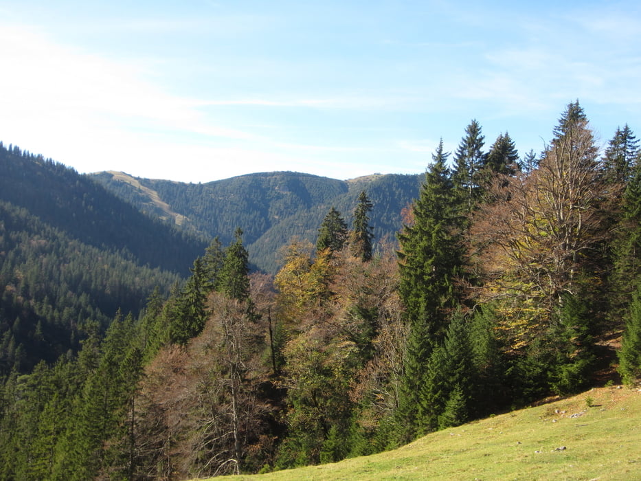 Esterbergrunde