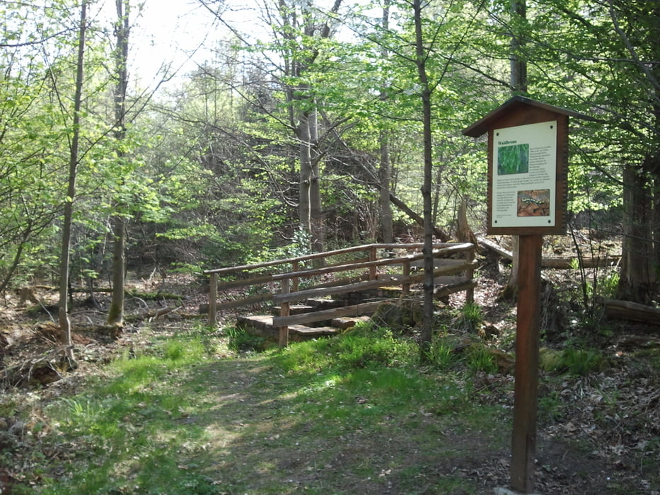 Tirolerweg und Grenzweg im Nordschwarzwald