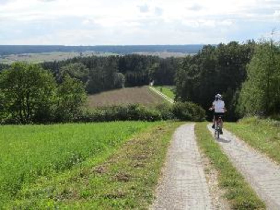 Tanzlindenradweg