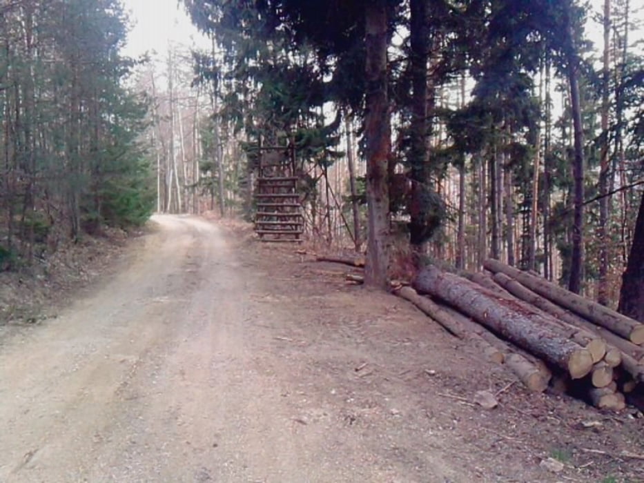Eichbüchl - Mitterriegel - Katzelsdorf