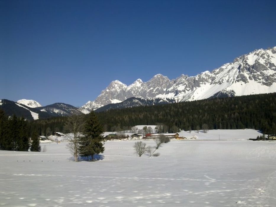 Stocker-Runde