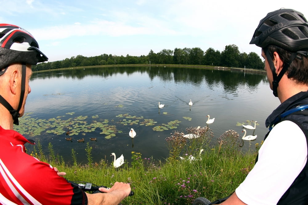 Stille Wasser, seltene Vögel und saftige Äpfel Landkreis Neu-Ulm Radführer West Augsburger Allgemeine Neu-Ulmer Zeitung Mittelschwäbische Nachrichten Radelnanders