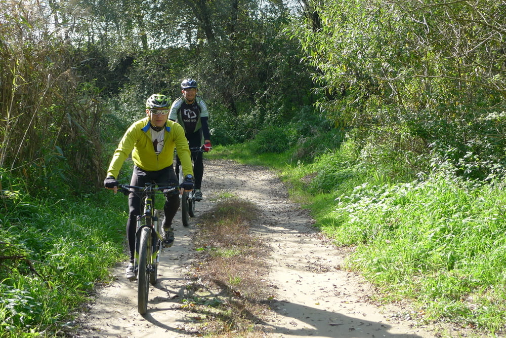 Sv. Martin na Muri. MTB Staza br. 3.