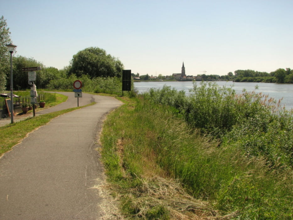 Rondom Buggenhout bos