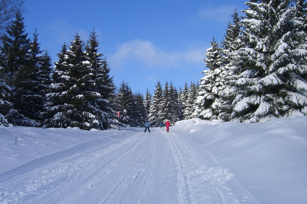 Loipe Waage und Schneewittchenklippen