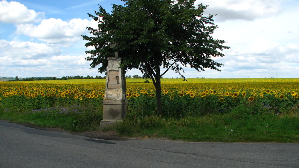 20080720_1_Ku Černošicím a späť