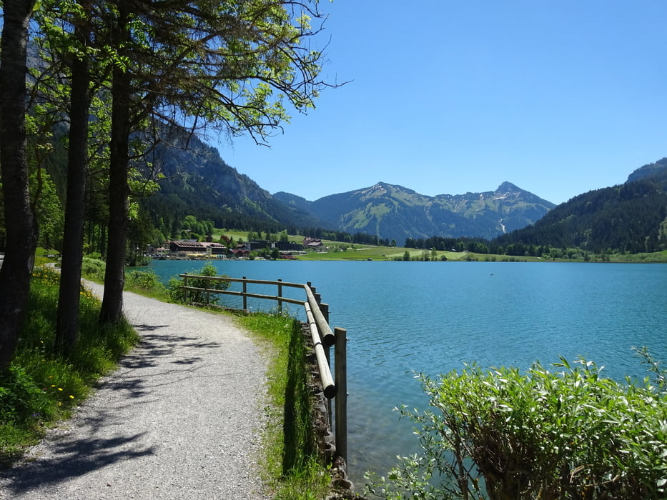 Um den Haldensee