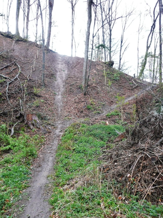 Schwäbischer Wald bei Murrhardt - Räuberweg