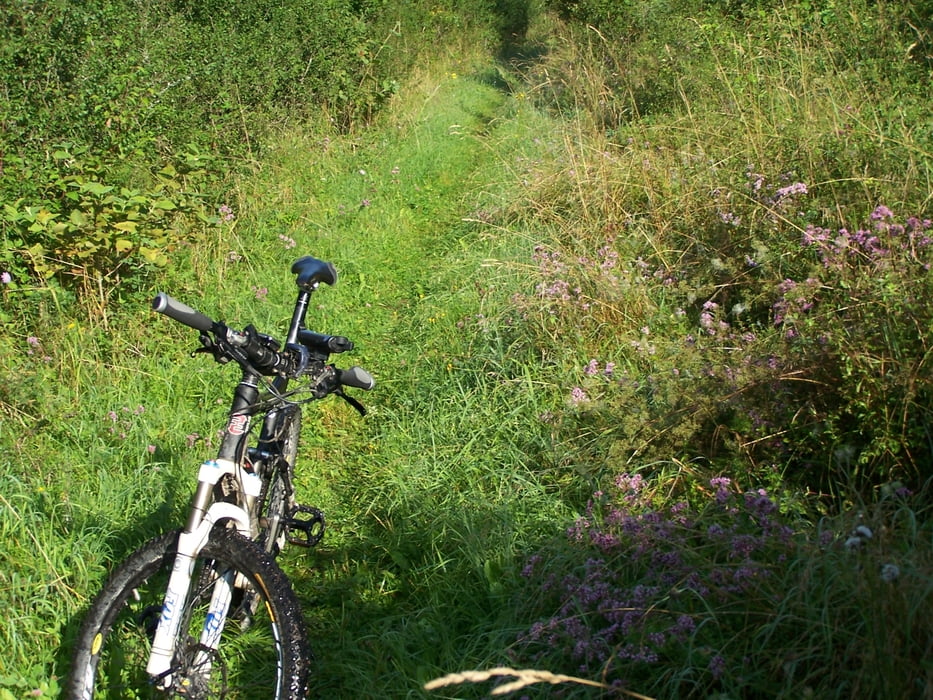 jurasteig teil 3 adertshausen bis holnstein