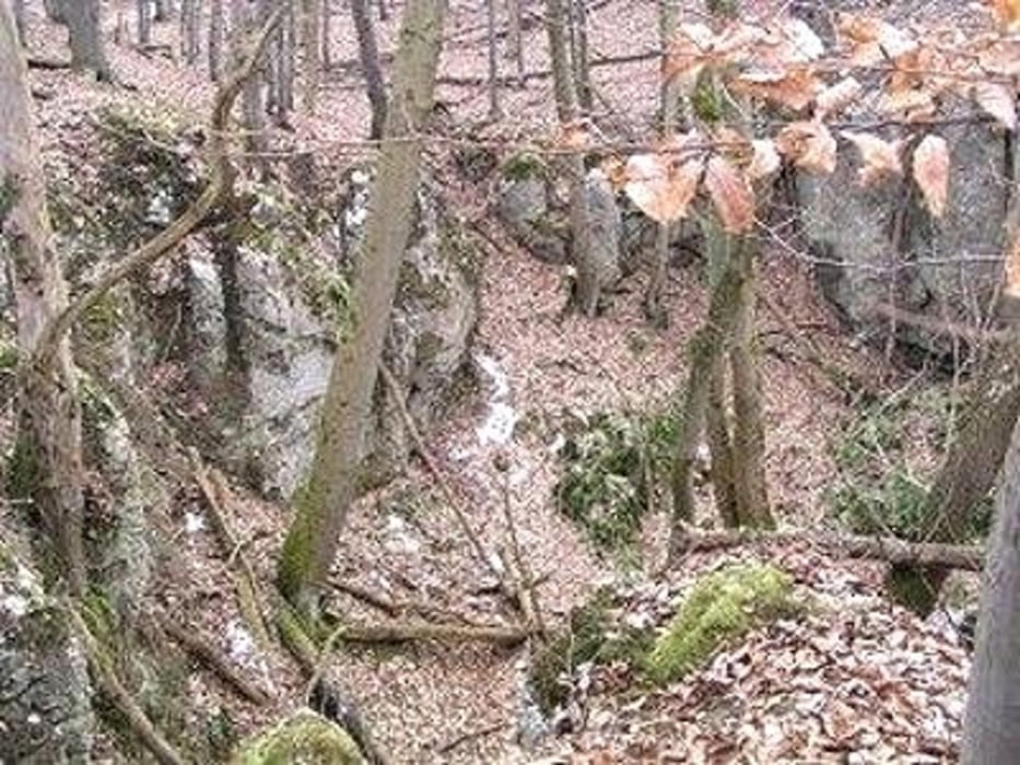 Rundwanderweg Hainholz