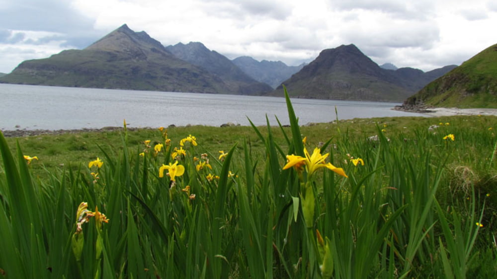 Küstenwanderung auf der Isle of Skye: Elgol nach Camasunary