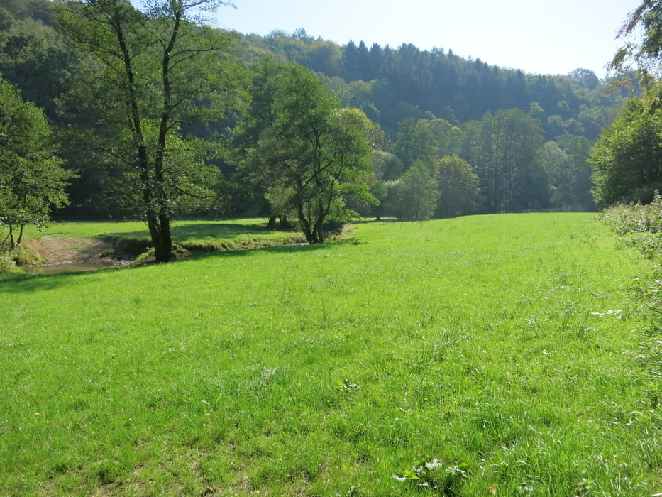Naafbachtal, südlicher Abschnitt