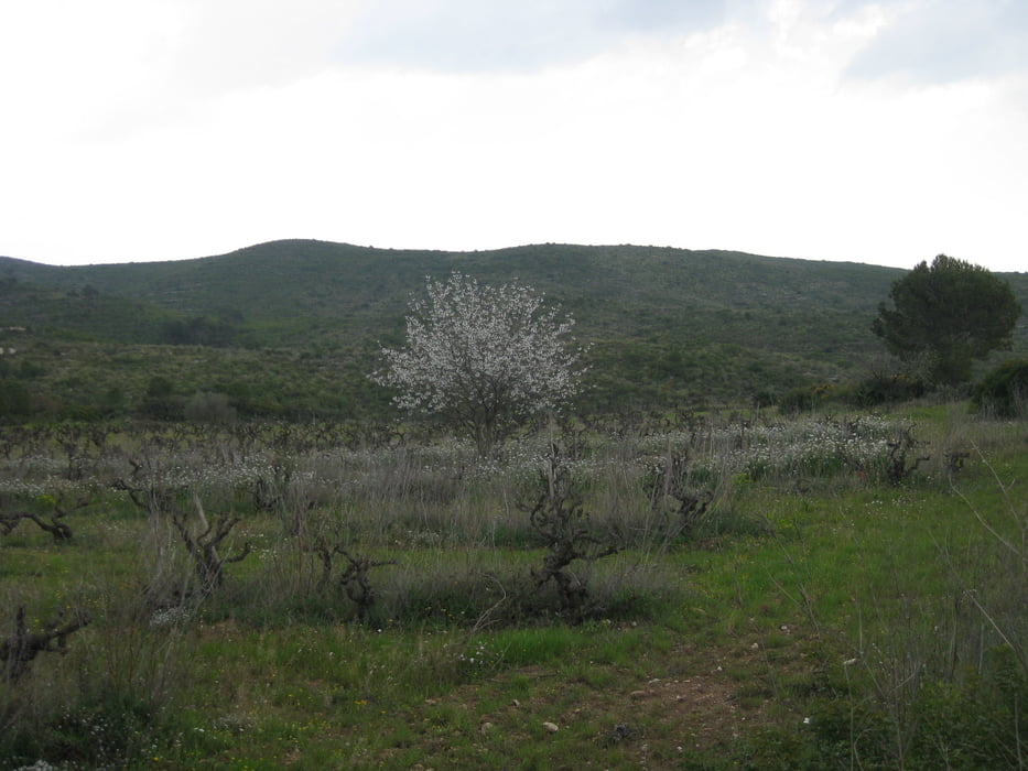Urlaubstour 2009 -Unken-