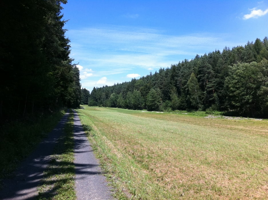 Steigerwald-Bamberg