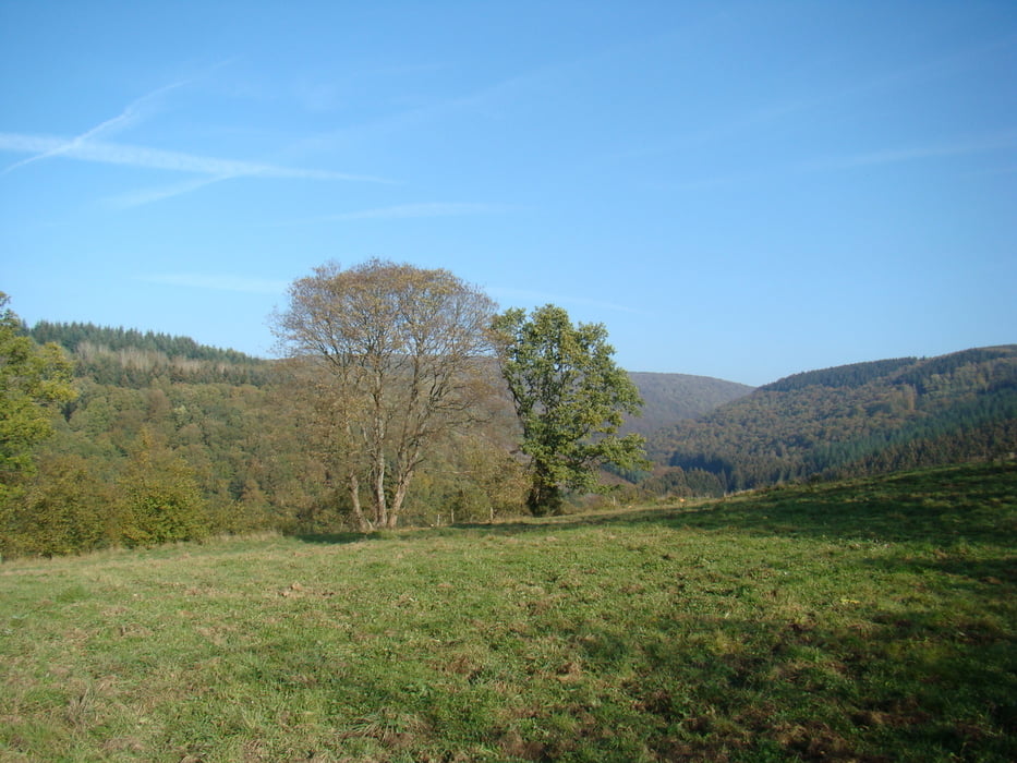 Wandelen in La Roche 1