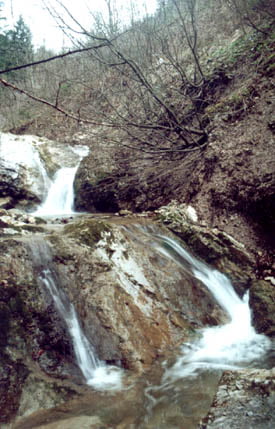 Gornje Retje - Sodražica - Nova vas - Gornje Retje