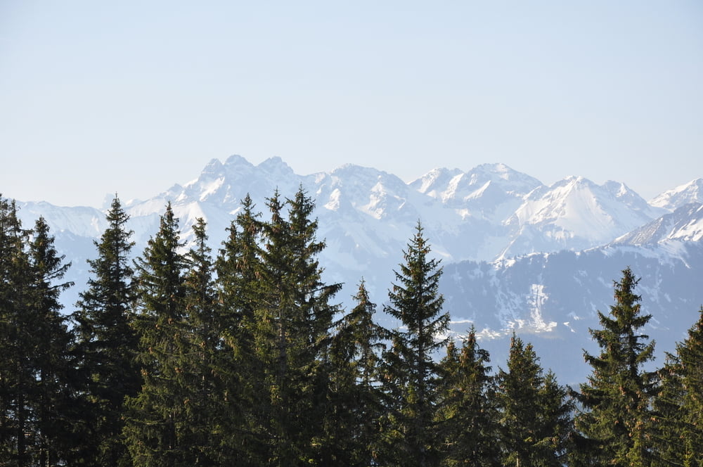 Abstieg Bolsterlanger Horn nach Obermaiselstein