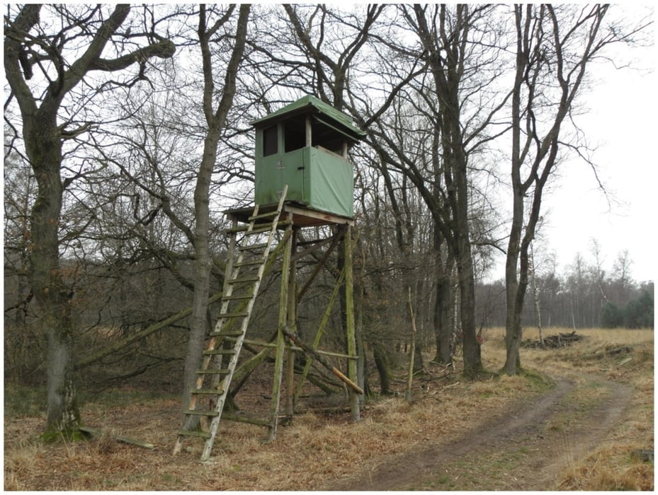 Rondwandeling Herkenbosch, bosbeekdal en Meinweg