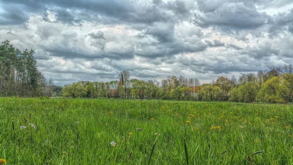 Eibachgrund bei Hofstetten