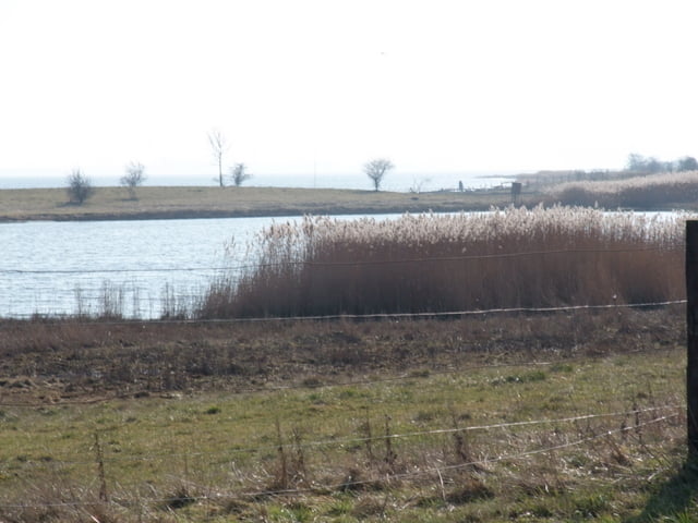 Rundwanderung Poel