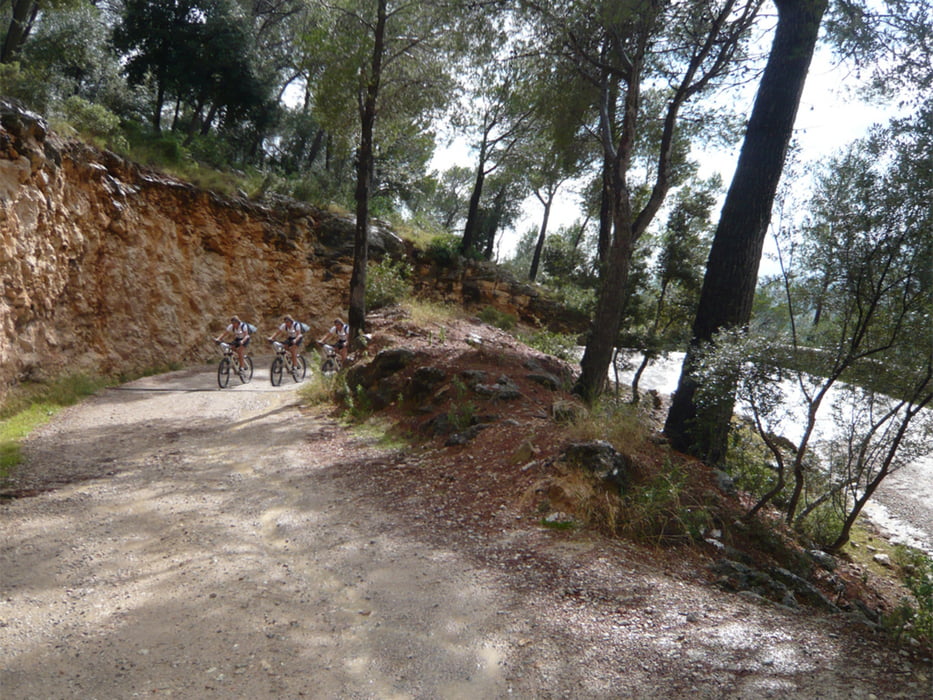 Bunyola, Steineichenwald, Mallorca 