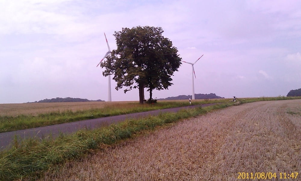 Von Zeil am Main auf die westlichen Mainhöhen und in den Mainauen zurück
