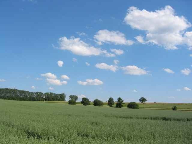 Friolzheim-Porsche-Friolzheim (18,1km)