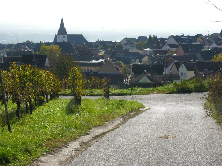 Kiedrich-Hallgarten- Kloster Eberbach-Kiedrich