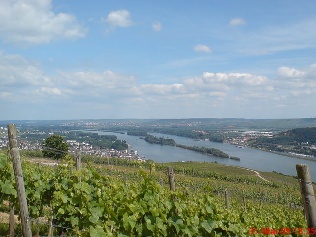 Rheingau Panoramatour