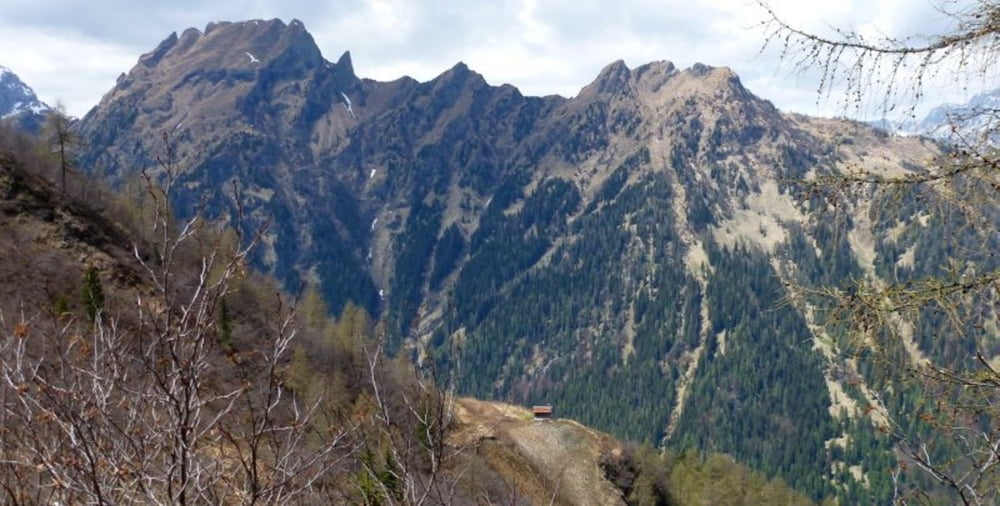 Creste di Caòz e Palalade (Val di Garès Dolomiti)
