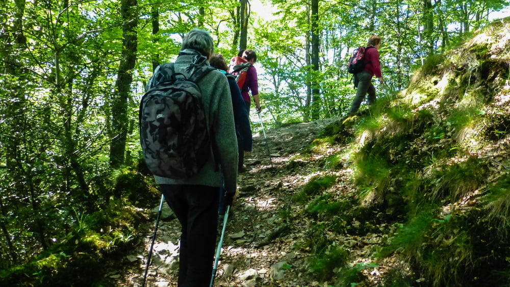 140503 Wupperhöhen