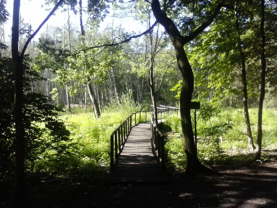 Müggelberge