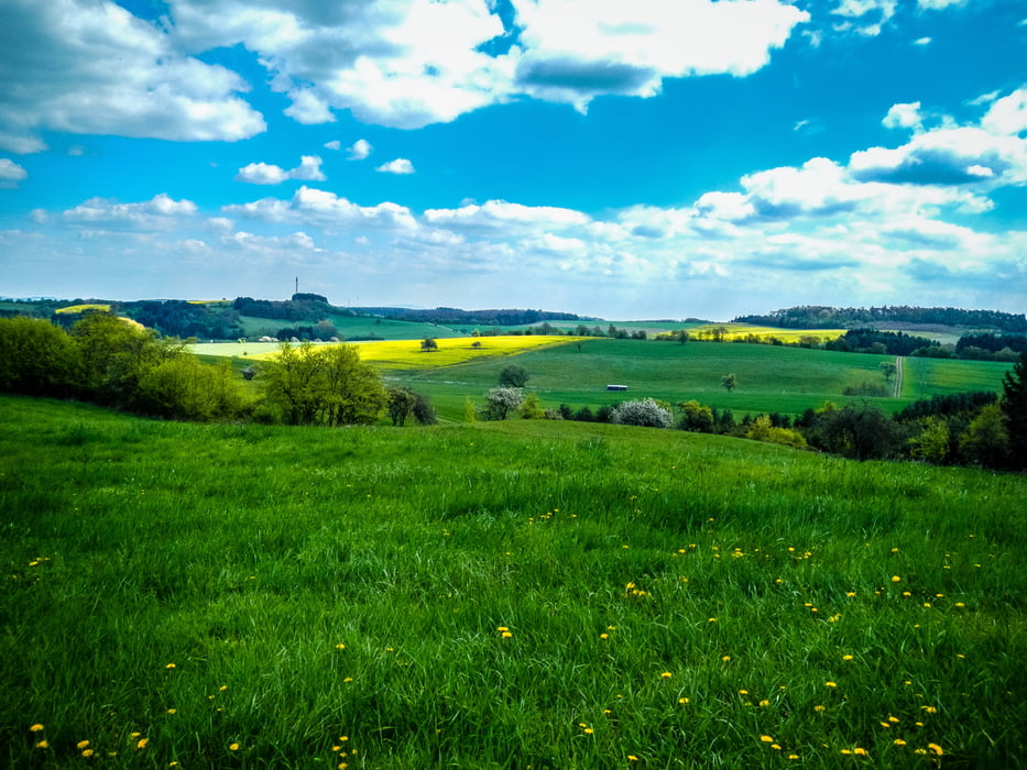 Sportliches Daal 2017 (45 km)