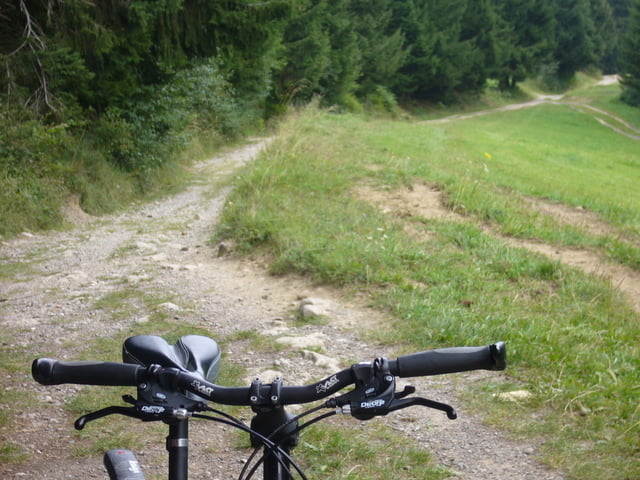Alpsee - Siedele Alpe - Pfarr Alpe