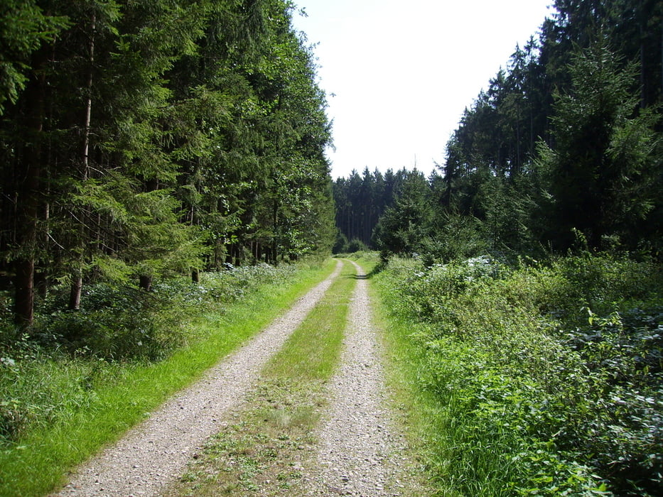 Steinberg Ochsenhausen HW4 und Bodenseeradweg