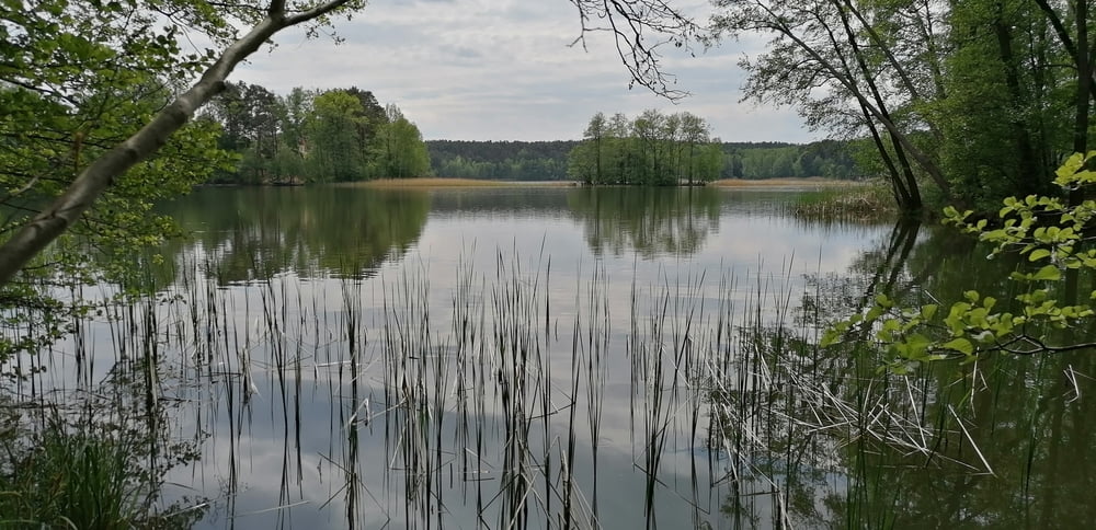 376. Tornow 3 Seen & 1 Mühlentour, Tornower See, Briesensee und Tütschensee