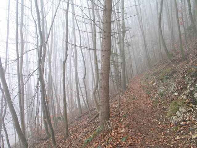 Leonsteiner Höhenweg