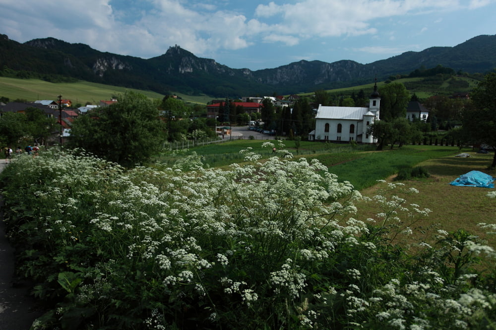 Suľovské skály