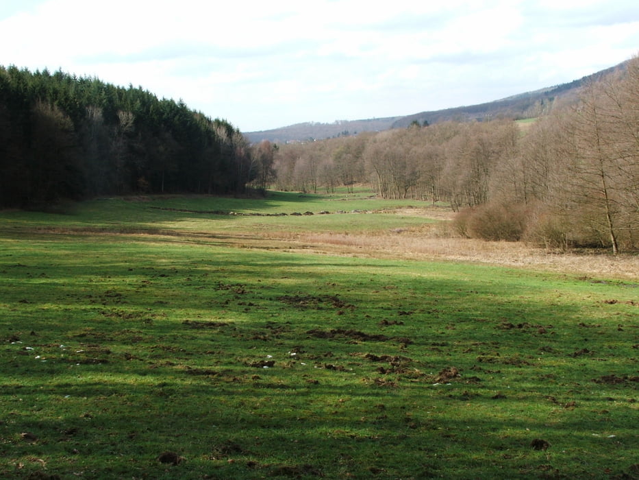 Taunus: Bad Camberg - Dombachtal - Bad Camberg (2)